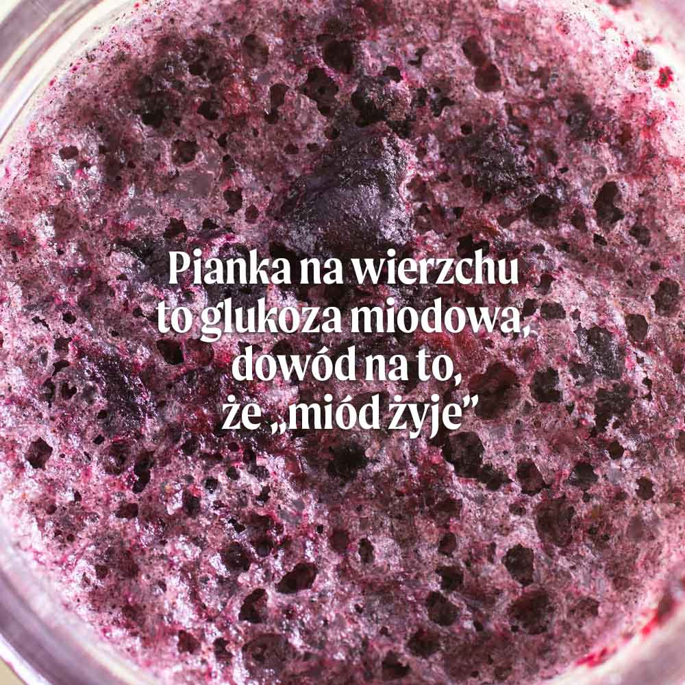 Miód z czarnuszką Olini