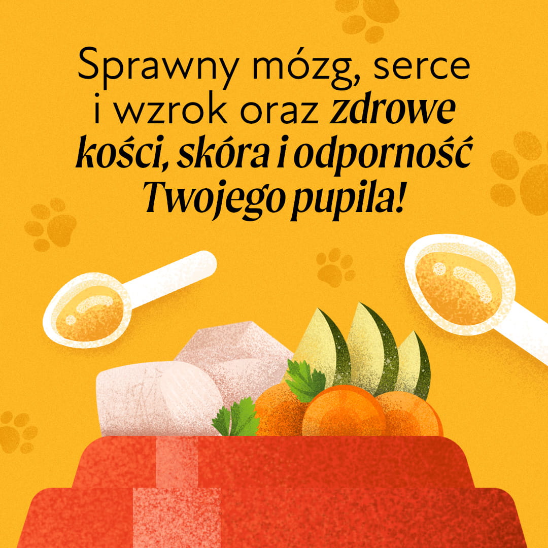 Na co wpływa tran u psa i kota?