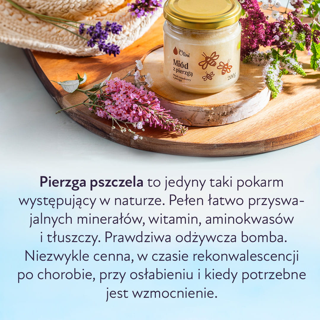 Miód rzepakowy z pierzgą Olini