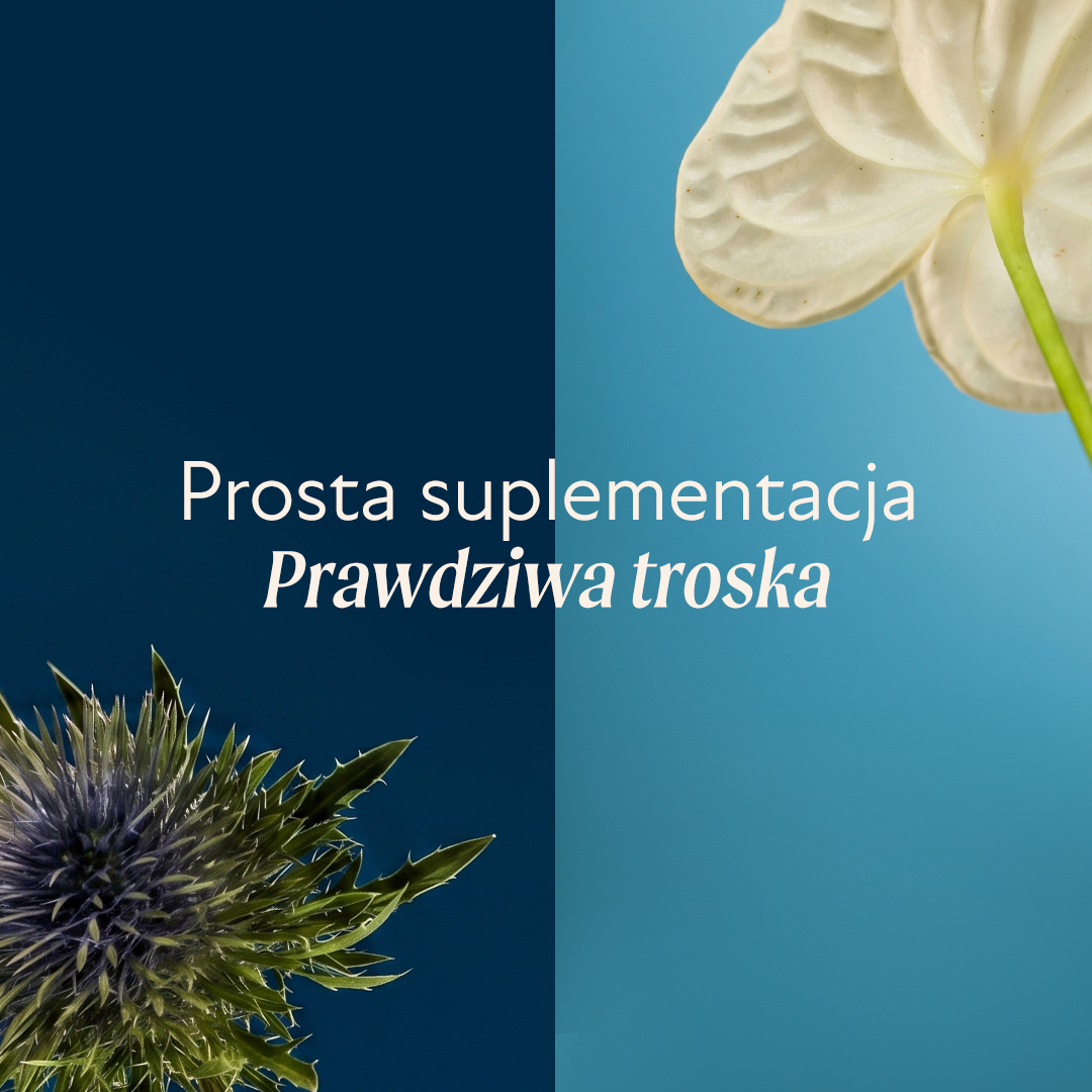Zestaw Mag Dzień + Mag Noc