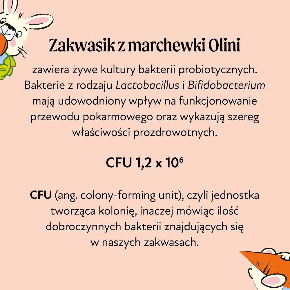 Zakwasik z marchewki Olini