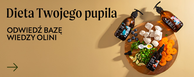 ZDROWE KWASY TŁUSZCZOWE DLA TWOJEGO PUPILA