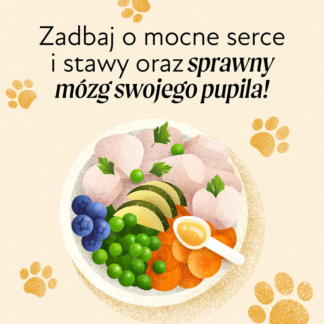 Olej z łososia dla psa i kota Olini
