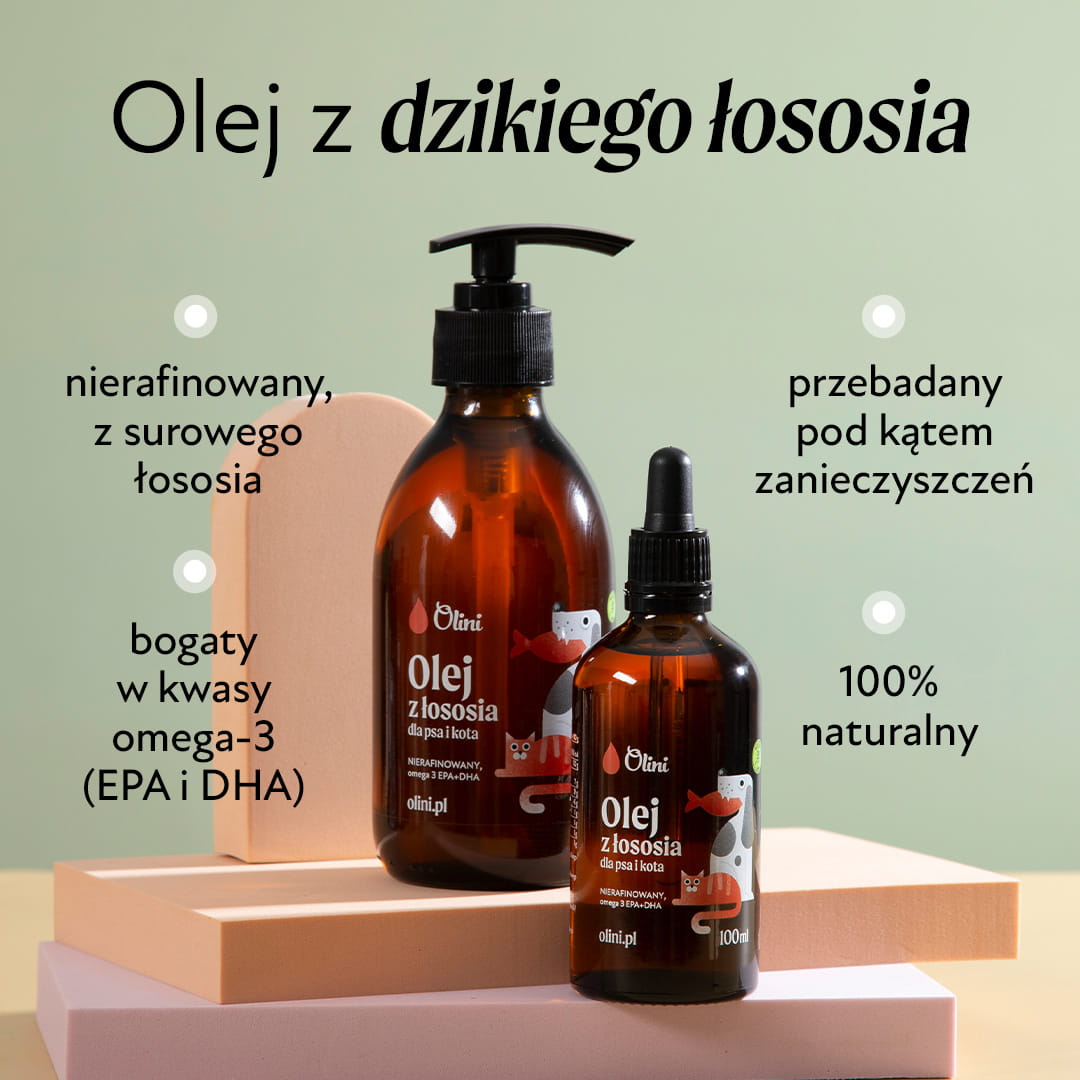 Właściwości oleju z łososia dla psa i kota