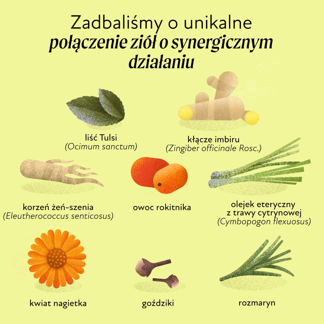 Mieszanka ziołowa wspierająca odporność Olini