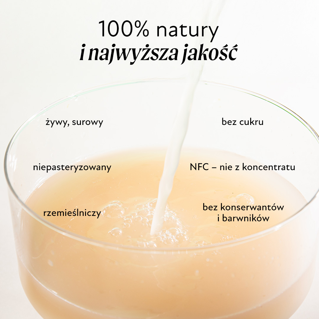 Zakwas z kapusty Olini